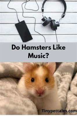 Do Hamsters Like Music? A Deeper Exploration into the World of Hamster Aesthetics