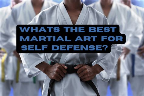 What's the Best Martial Art for Self-Defense: A Multi-Perspective Analysis